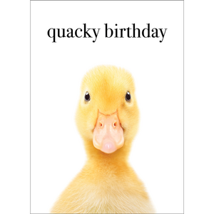 M145 - Quacky Birthday - Duck Greeting Card