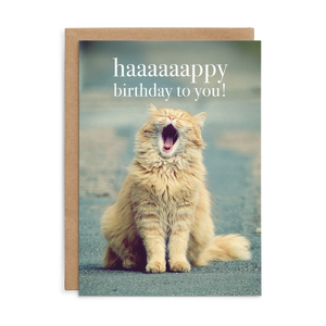M147 - Haaaaaappy Birthday to you! - Cat Birthday Card
