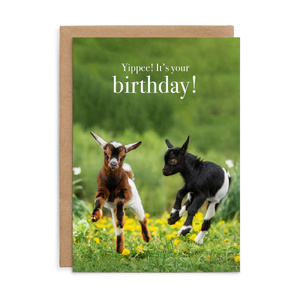 M157 - Yipee! - Birthday Greeting Card