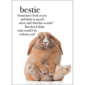M23 - Bestie - Animal greeting card