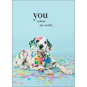 M029 - You Colour My World - Animal Greeting Card