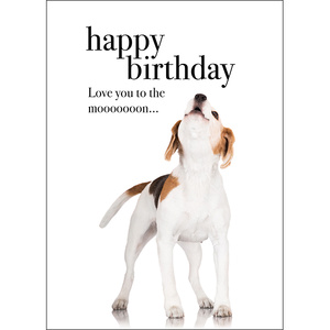 M36 - Happy birthday - Animal greeting card