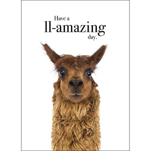 M37 - Have a ll-amazing day - Animal greeting card