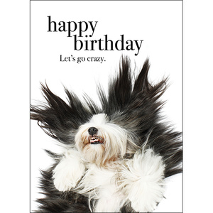 M38 - Happy birthday - Animal greeting card