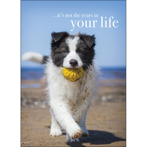 M071 - Your Life - Animal Greeting Card