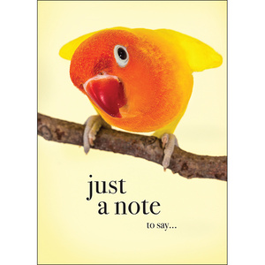 M72 - Just a note - Animal greeting card