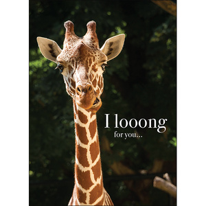 M80 - I looong for you - Animal greeting card