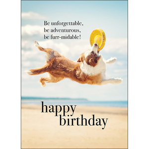 M083 - Be Unforgettable, Be Adventurous - Animal Greeting Card
