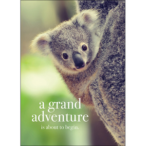 M91 - A grand adventure is about to begin - Animal greeting card