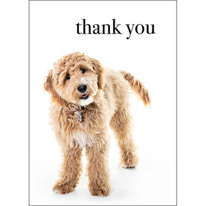 M096 - Thank You. You're The Best! - Animal Greeting Card