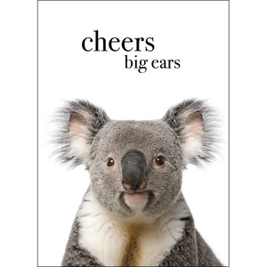 M098 - Cheers Big Ears! - Animal Greeting Card