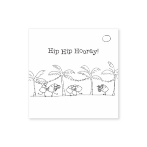 T10 - Hip Hip Hooray - Twigseeds Mini Congratulations Card