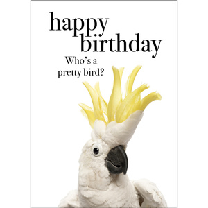 TM07 - Happy Birthday - Bird Mini Card