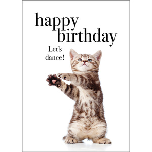TM08 - Happy Birthday - Cat Mini Card