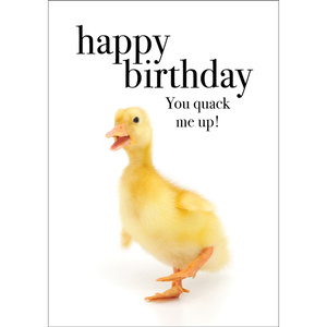 TM09 - Happy Birthday - Duck Mini Card