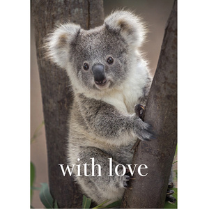 TM13 - With love - Koala Mini Card