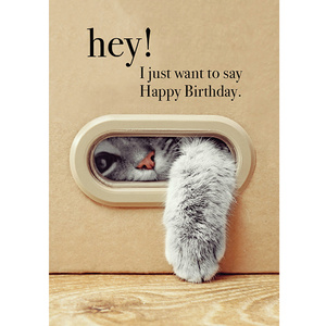 TM14 - Happy Birthday  - Cat Mini Card