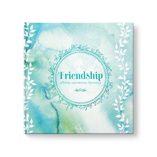 Friendship - affinity, connection, harmony