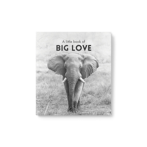 Little Book of Big Love