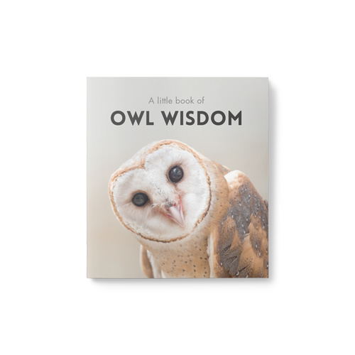 Little Book of Owl Wisdom