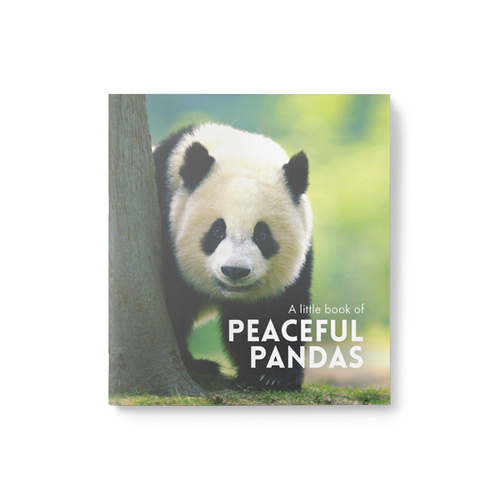 Little Book of Peaceful Pandas
