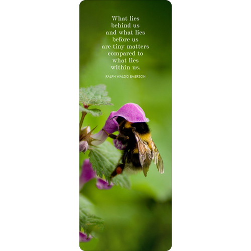 ABB007 - What lies behind us - Bee Bookmark 