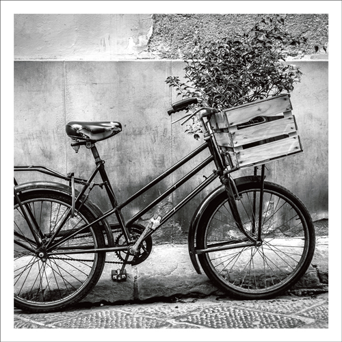 AGCP039 - Bicycle With Flowers In The Front Basket - Photographic Card
