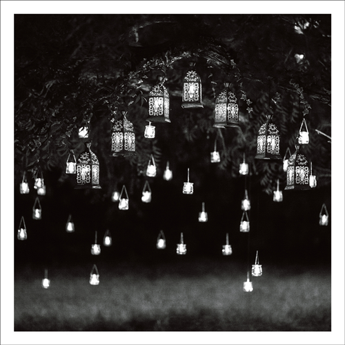 AGCP047 - Multiple Lit Lanterns Hanging On A Tree At Night - Photographic Card