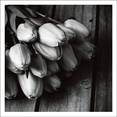 AGCP061 - Bunch Of Tulips - Photographic Card