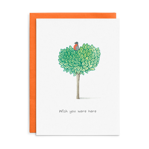 C049 - Wish you were here. - Cottonwood Thinking of you Card