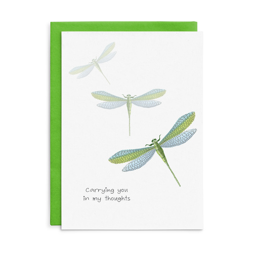 C064 - Carrying you in my thoughts. - Cottonwood Sympathy Card