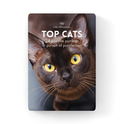DCA - Top Cats - 24 affirmation cards + stand