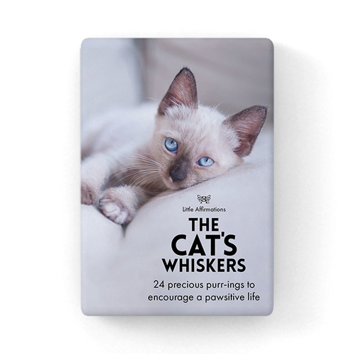 DCW - The Cat's Whiskers - 24 affirmation cards + stand