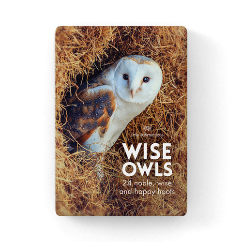 DOW - Wise Old Owls - 24 affirmation cards + stand