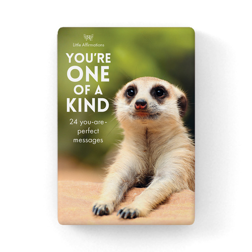 DYK - You're One of a Kind - 24 affirmation cards + stand 