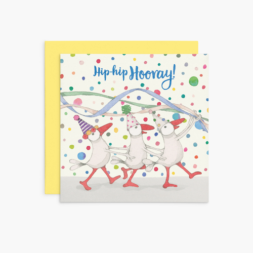 K229 - Hip-hip hooray! - Twigseeds Congratulations Card