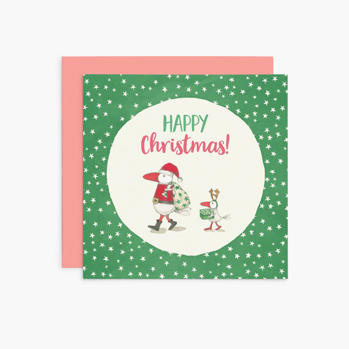 K353 - Happy Christmas! - Twigseeds Christmas Card