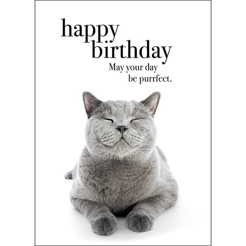 M003 - Happy Birthday - Animal Greeting Card