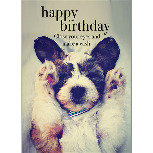 Dog Animal Birthday Card - Close your eyes and make a wish | Affirmations  Publishing House