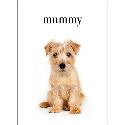 M102 - Mummy, I Love You - Animal Greeting Card