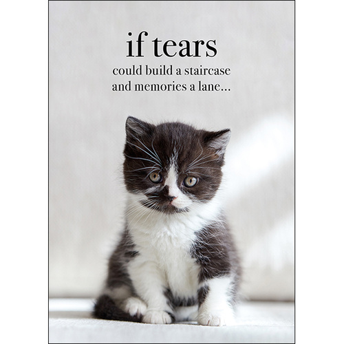 M103 - If tears could build a staircase - Animal greeting card