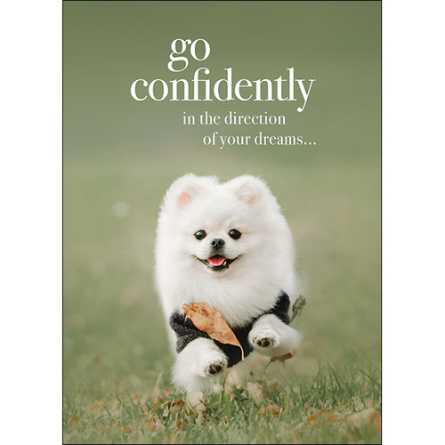 M105 - Go Confidently - Animal Greeting Card