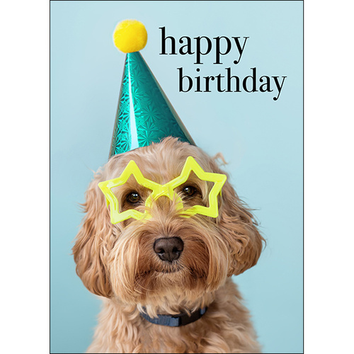 Dog Animal Birthday Card - Happy Birthday you party animal! | Affirmations  Publishing House