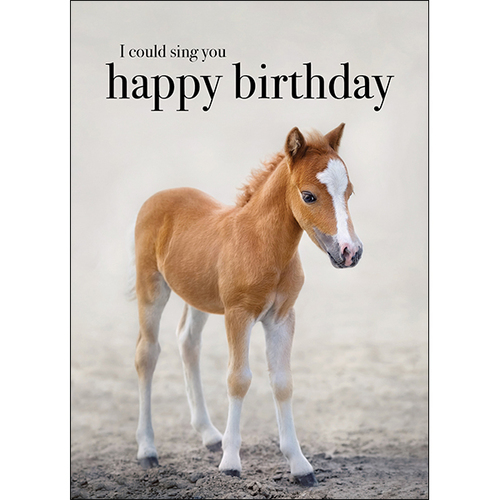 M111 - I Could Sing You Happy Birthday - Animal Greeting Card