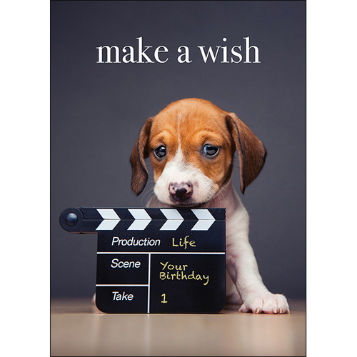 M112 - Make A Wish - Animal Greeting Card