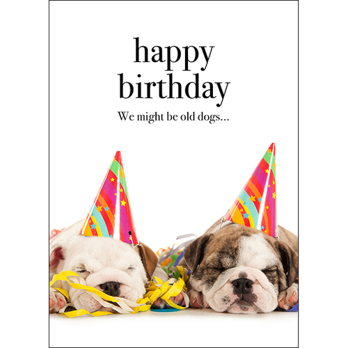 Dog Animal Birthday Card - Happy Birthday. We might be old dogs ...