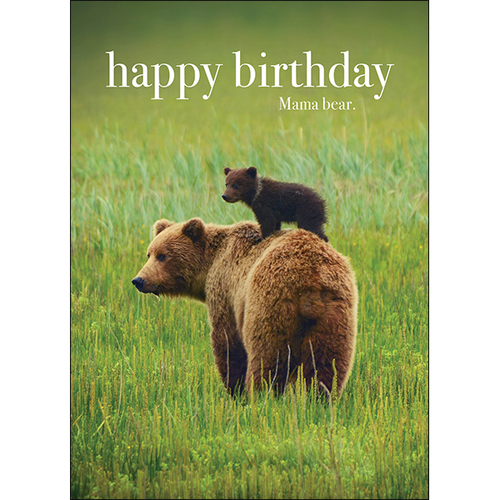 M117 - Happy Birthday Mama Bear - Animal Greeting Card