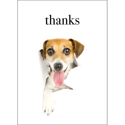 Dog Thank You Card - Thanks for always being there | Affirmations  Publishing House