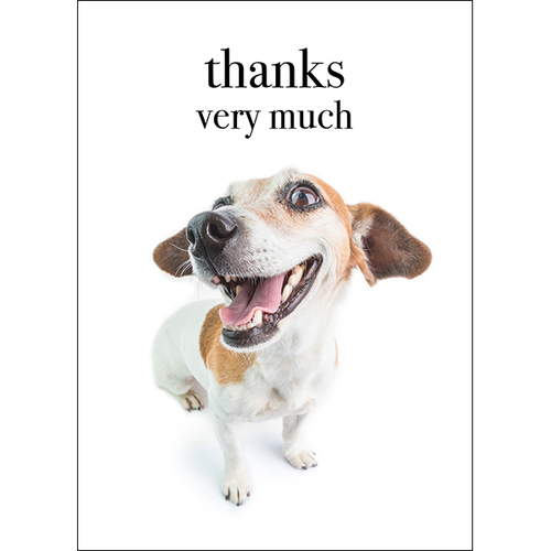 M122 - Thanks Very Much - Animal Greeting Card