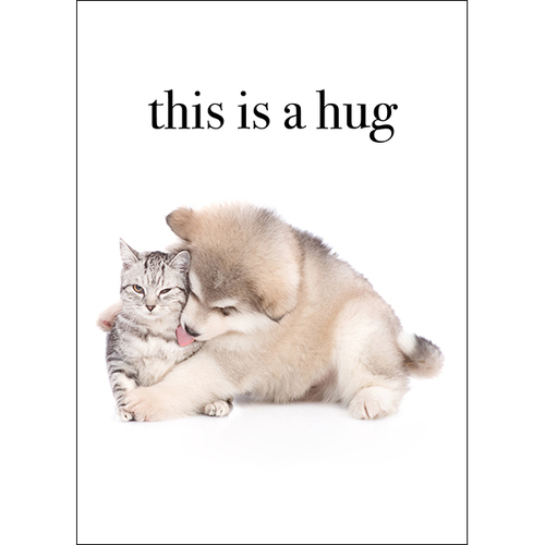 M123 - This Is A Hug - Animal Greeting Card